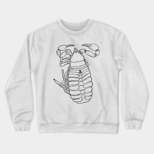 pseudoscorpion Crewneck Sweatshirt